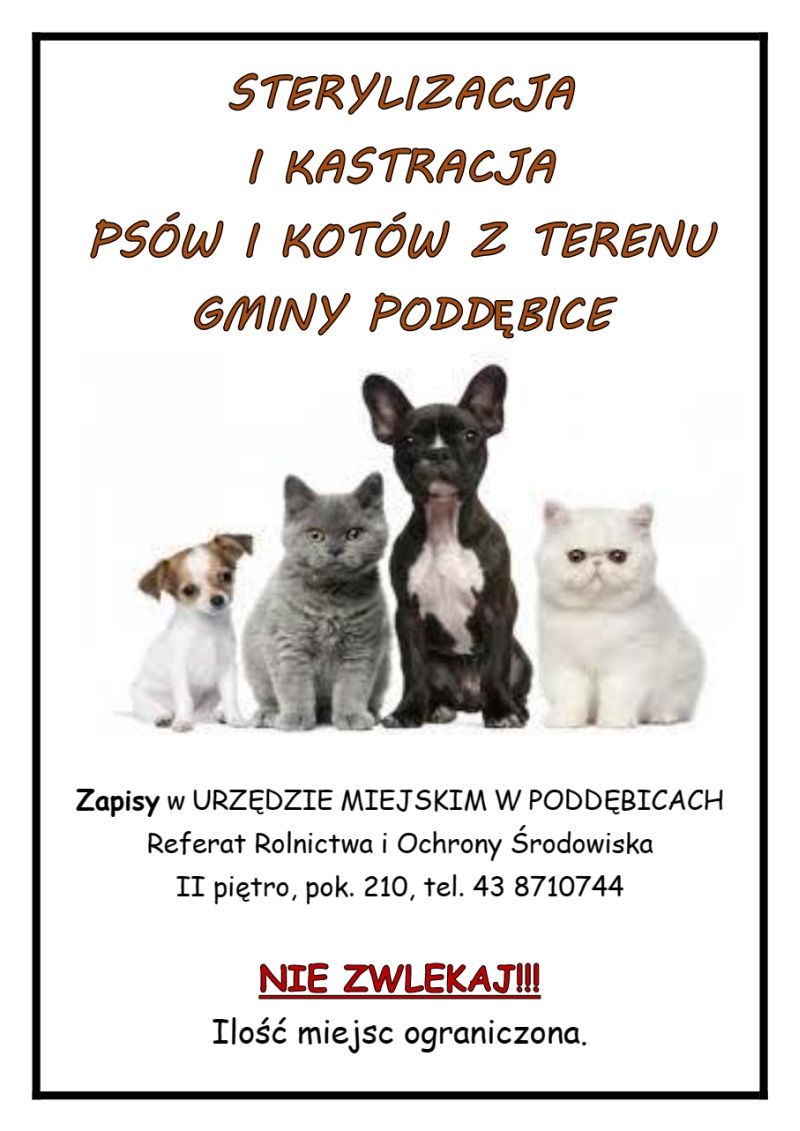 /resources/images/strona_gl/2023/sterylizacja_psy.jpg /resources/images/strona_gl/2023/sterylizacja_psy.jpg